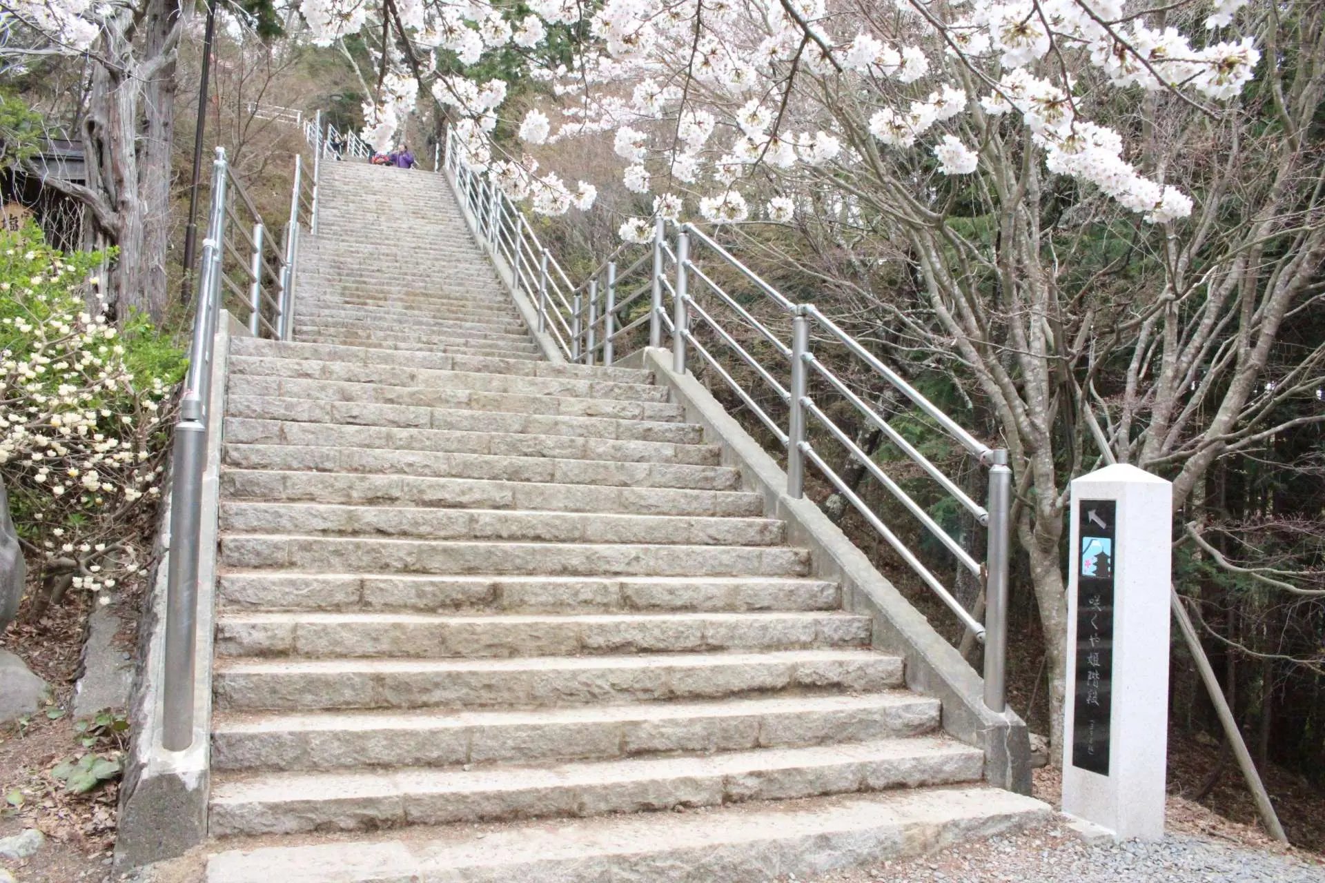 ⛩️ 추레이토 탑 (아라쿠라야마 센겐 공원) 이미지 8